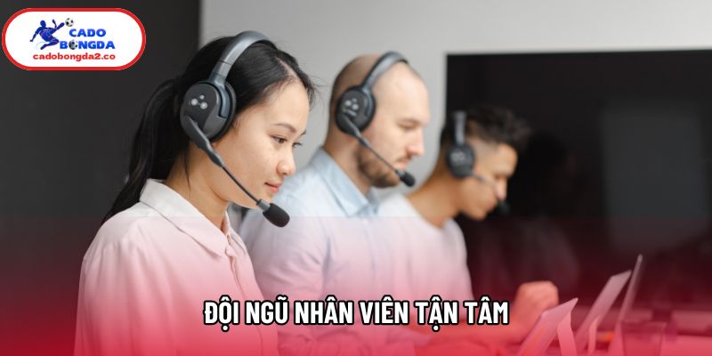 Đội ngũ nhân viên tận tâm