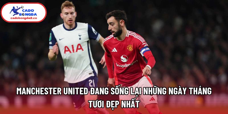 Manchester United đang sống lại những ngày tháng tươi đẹp nhất