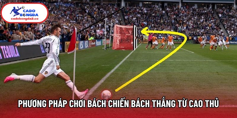 Phương pháp chơi kèo bách chiến bách thắng từ cao thủ Phương pháp chơi kèo bách chiến bách thắng từ cao thủ