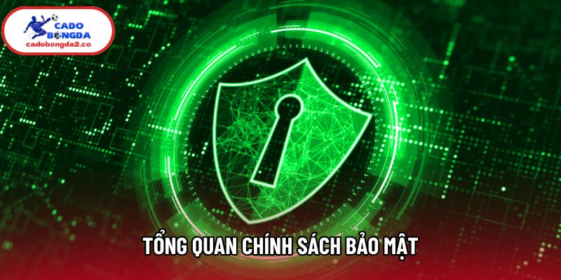 Tổng quan chính sách bảo mật